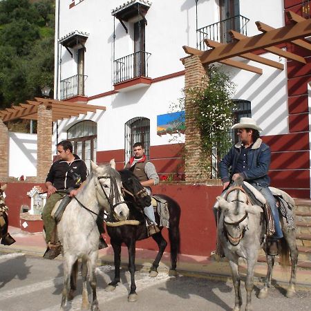 Apartamentos Rurales Mirador De Jubrique エクステリア 写真